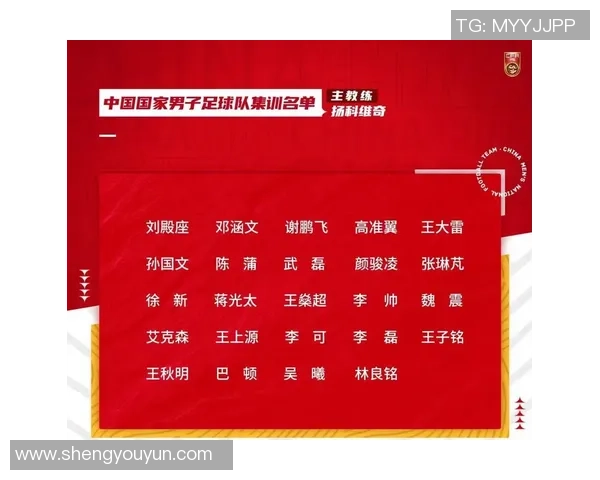 2017年国家足球队名单全面解析与球员表现回顾 2017年国家足球队名单全面解析与球员表现回顾
